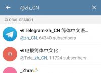 [telegreat免费官方版下载]telegreat中文版下载最新版