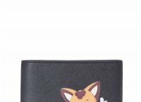 [狐狸钱包怎么安装软件]狐狸钱包怎么安装软件教程