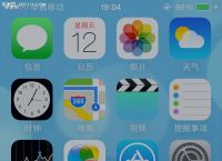 苹果手机怎么下载飞机中文版、苹果手机怎么下载飞机中文版的