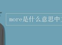 [predecessor什么意思中文翻译]predecessor是什么意思中文翻译