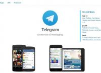 关于telegram自己电报号的信息