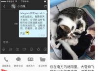 [telegraph官网入口手机]telegraph telegram