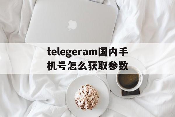 telegeram国内手机号怎么获取参数的简单介绍
